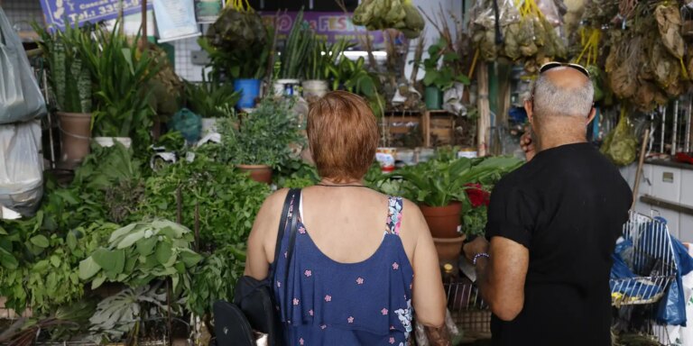 Tradição e fé impulsionam busca por banhos e ervas no fim de ano tradicao-e-fe-impulsionam-busca-por-banhos-e-ervas-no-fim-de-ano