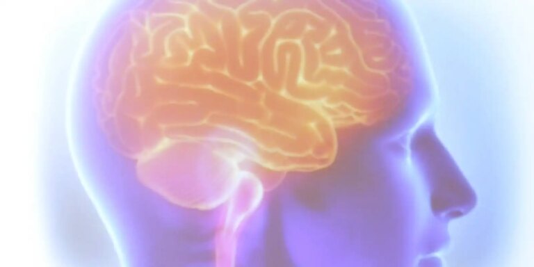 Projeto Ártemis avalia genética de pacientes que sofreram AVC projeto-artemis-avalia-genetica-de-pacientes-que-sofreram-avc