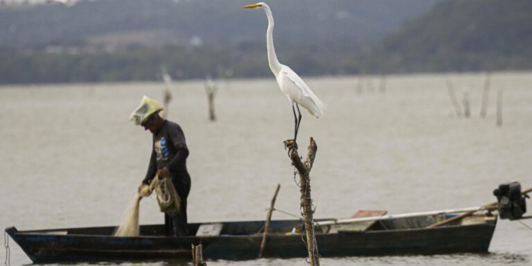 seguro-defeso:-pescadores-devem-apresentar-documentos-ate-dia-31