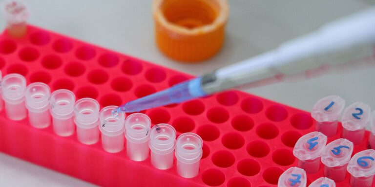 OMS aponta que estudo do genoma se concentra em países de alta renda oms-aponta-que-estudo-do-genoma-se-concentra-em-paises-de-alta-renda