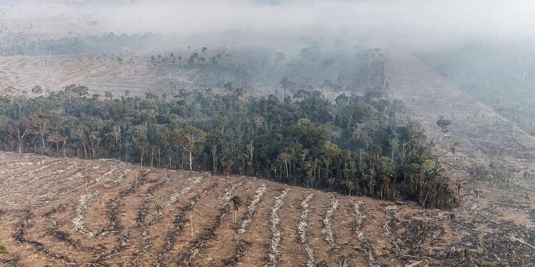 Inpe revela que o Amazonas registrou queda de 80% no número incêndios inpe-revela-que-o-amazonas-registrou-queda-de-80%-no-numero-incendios