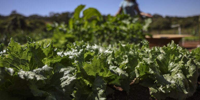acordo-garante-terras-a-3-mil-familias-em-assentamentos-no-parana
