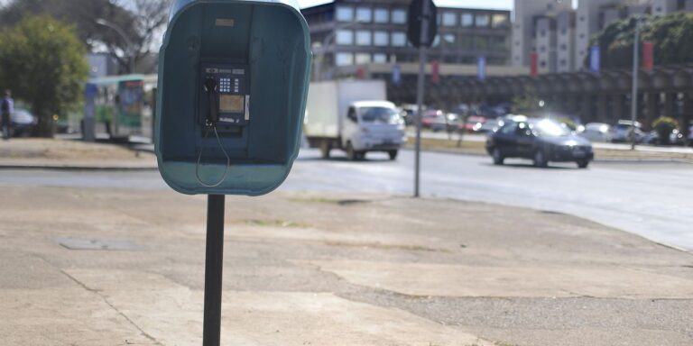 orelhoes-serao-extintos-no-pais-ate-o-fim-de-2028