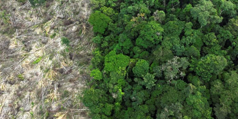 Áreas desmatadas da Amazônia sofrem com aumento de temperatura na seca areas-desmatadas-da-amazonia-sofrem-com-aumento-de-temperatura-na-seca