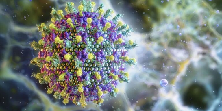 saiba-por-que-e-improvavel-que-o-virus-nipah-chegue-ao-brasil