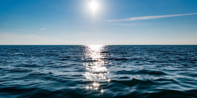 Tratado do Alto-Mar: entenda o que muda para o Brasil tratado-do-alto-mar:-entenda-o-que-muda-para-o-brasil