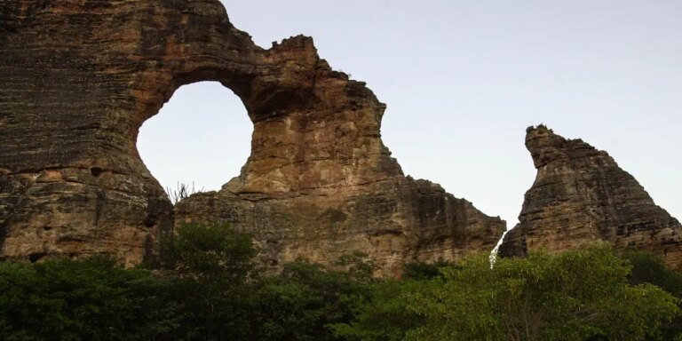 Ecosociobio incentiva economia sustentável nas Unidades de Conservação ecosociobio-incentiva-economia-sustentavel-nas-unidades-de-conservacao